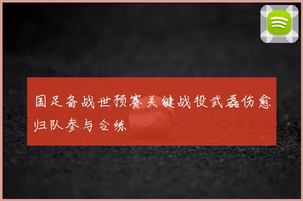 国足备战世预赛关键战役武磊伤愈归队参与合练