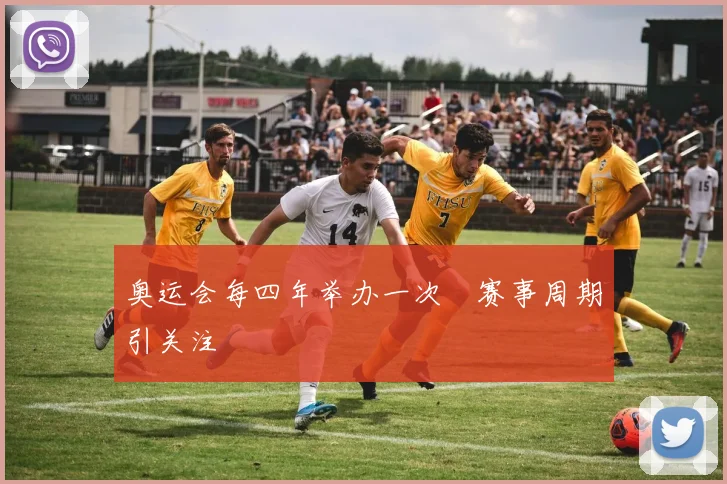奥运会每四年举办一次 赛事周期引关注