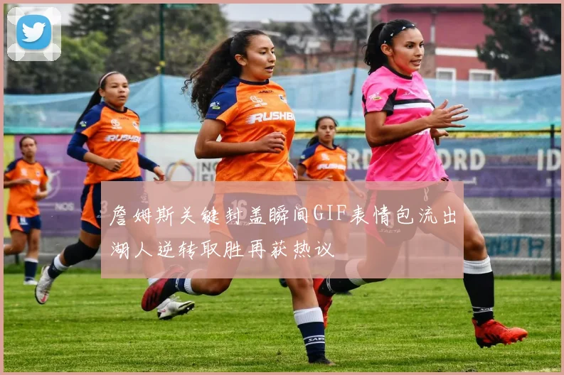 詹姆斯关键封盖瞬间GIF表情包流出湖人逆转取胜再获热议